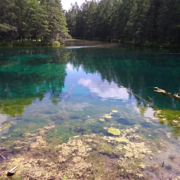 Meet your Posher, Josh - Picture 1 of 1